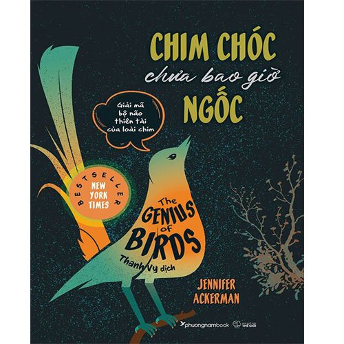 Chim Chóc Chưa Bao Giờ Ngốc