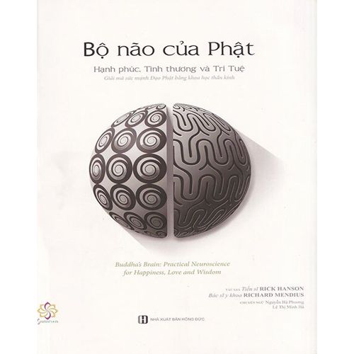 Bộ Não Của Phật