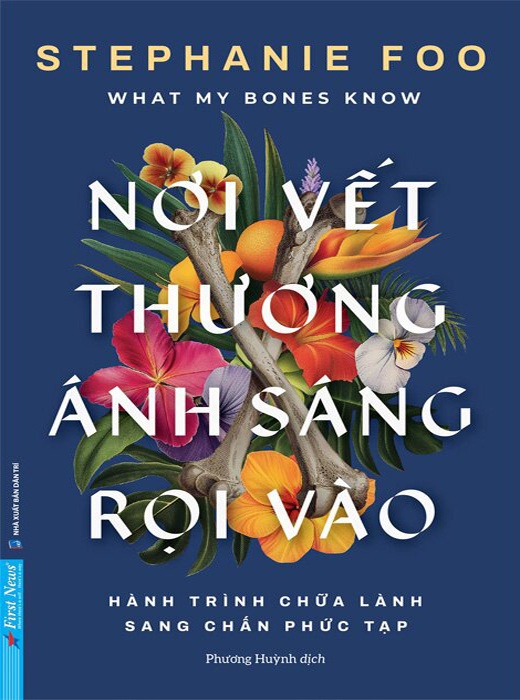 Nơi Vết Thương Ánh Sáng Rọi Vào