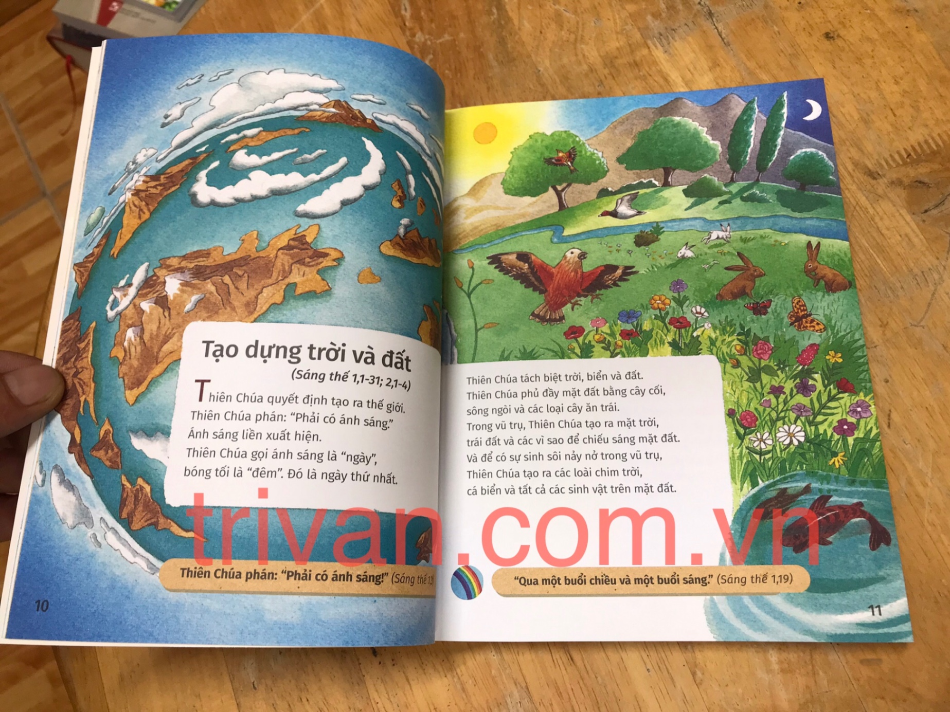 Kinh Thánh Cho Thiếu Nhi - Cựu Ước Và Tân Ước
