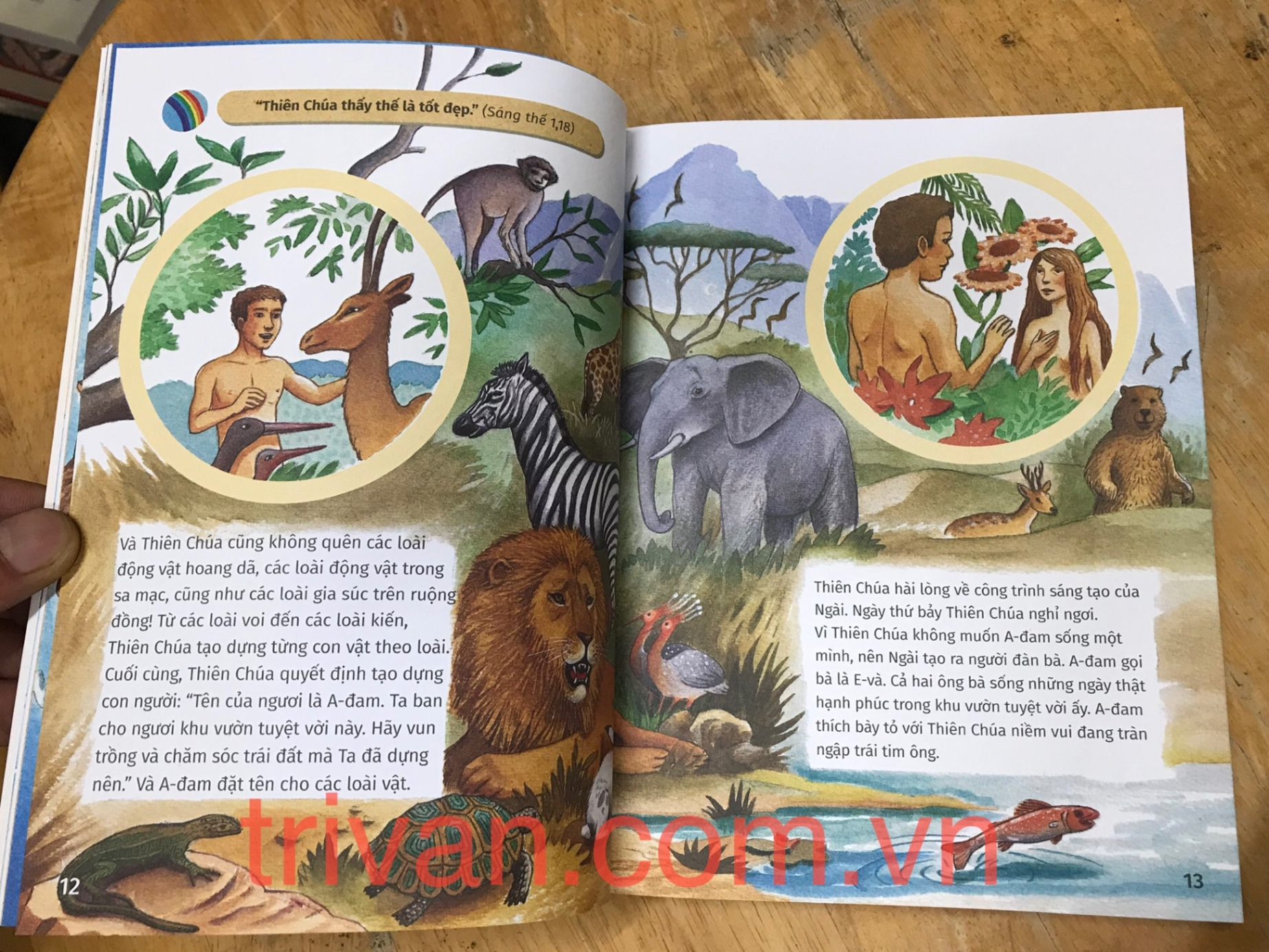 Kinh Thánh Cho Thiếu Nhi - Cựu Ước Và Tân Ước