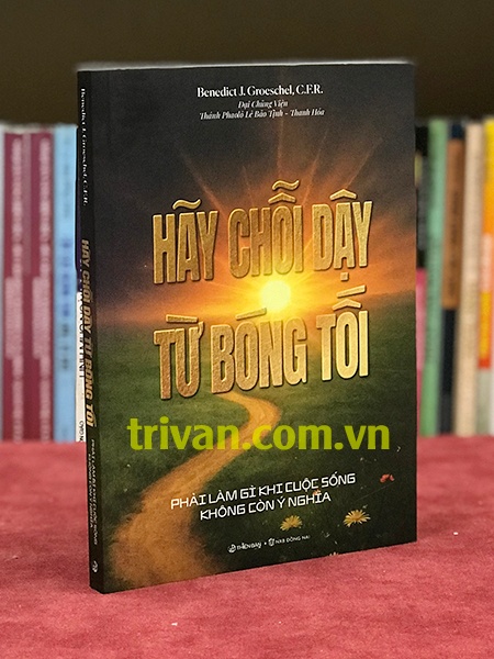 Hãy chỗi dậy từ bóng tối - Phải làm gì khi cuộc sống không còn ý nghĩa