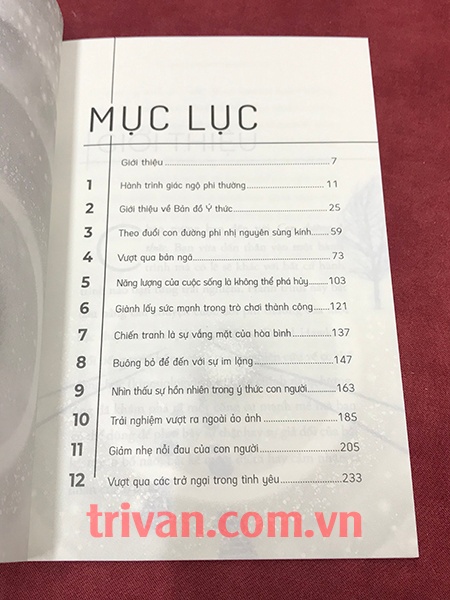 Con Đường Ý Thức - Hành Trình Khai Phá Bản Ngã - Từ Giác Ngộ Đến Tự Do Nội Tại