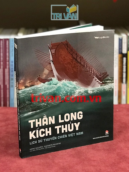 Thần Long Kích Thủy - Lịch sử thuyền chiến Việt Nam