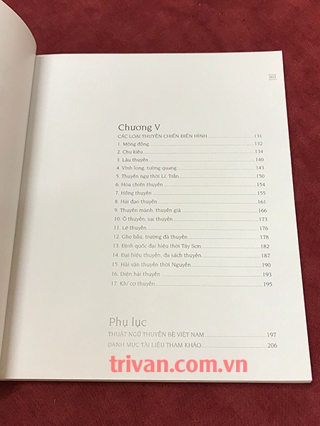 Thần Long Kích Thủy - Lịch sử thuyền chiến Việt Nam