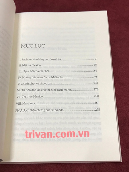 Mê cung cô độc - Octavio Paz