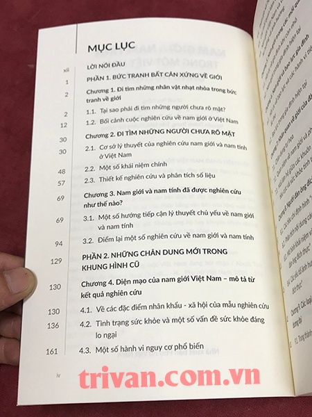 Nam giới và Nam tính trong một Việt Nam đang hội nhập