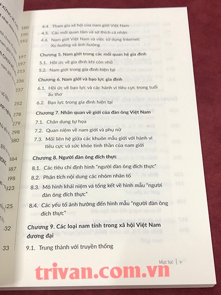Nam giới và Nam tính trong một Việt Nam đang hội nhập