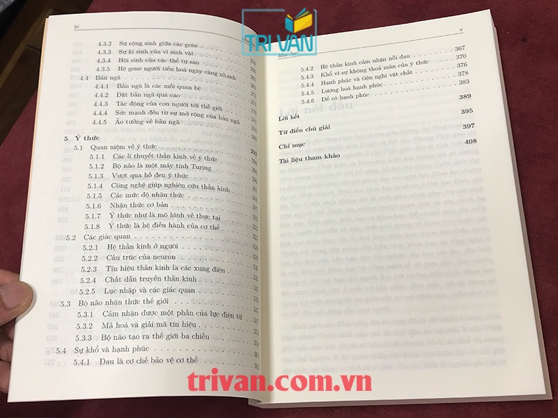 Tính Không Của Vạn Vật - Quán Chiếu Khoa Học Hiện Đại Bằng Các Nguyên Lí Của Phật Giáo - Nguyễn Hoàng Hải
