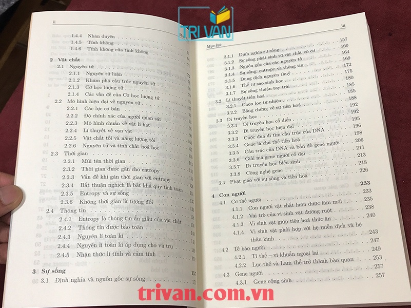 Tính Không Của Vạn Vật - Quán Chiếu Khoa Học Hiện Đại Bằng Các Nguyên Lí Của Phật Giáo - Nguyễn Hoàng Hải