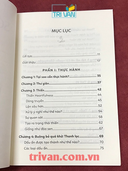 Thiết kế số phận - Daaji (Kamlesh D. Patel)