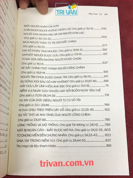 Vật lộn với bản văn Thánh - Chú giải tin mừng Luca - Joseph Phạm Duy Thạch, SVD