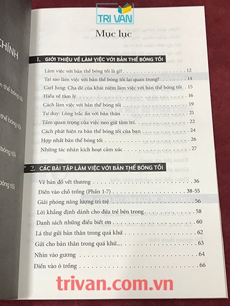 Vượt Qua Bóng Tối - The Shadow Work Journal - Keila Shaheen
