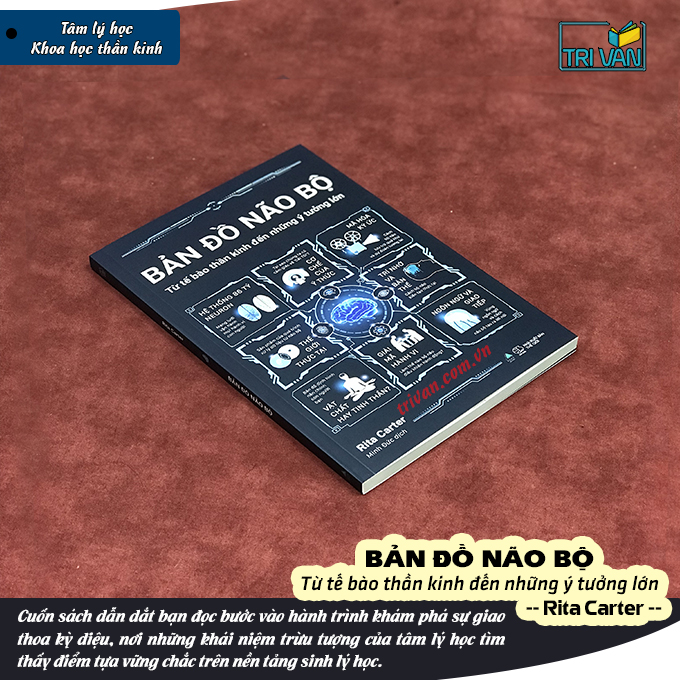 Bản đồ não bộ - Rita Carter