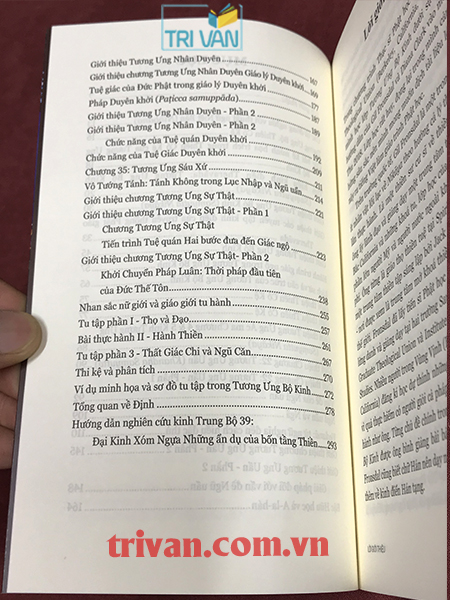 Bình Giảng Tương Ưng Bộ Kinh (Saṃyutta Nikāya) - Thiền sư Gil Fronsdal