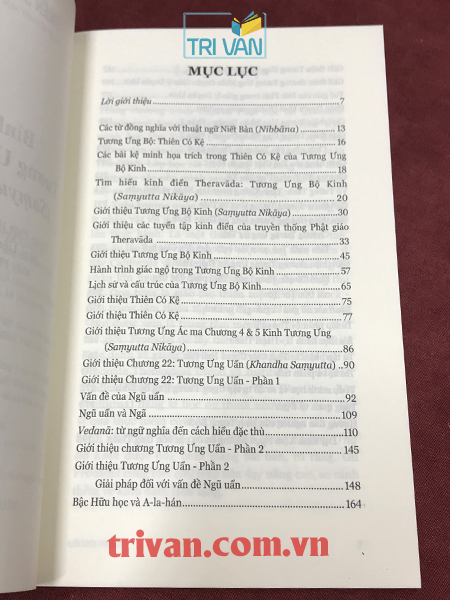 Bình Giảng Tương Ưng Bộ Kinh (Saṃyutta Nikāya) - Thiền sư Gil Fronsdal