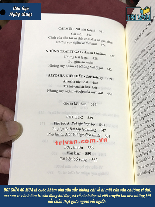 Bơi Giữa Ao Mưa - George Saunders