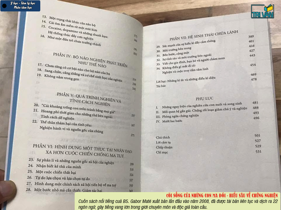 Cõi Sống Của Những Con Ma Đói - Hiểu sâu về chứng nghiện - BS. Gabor Maté