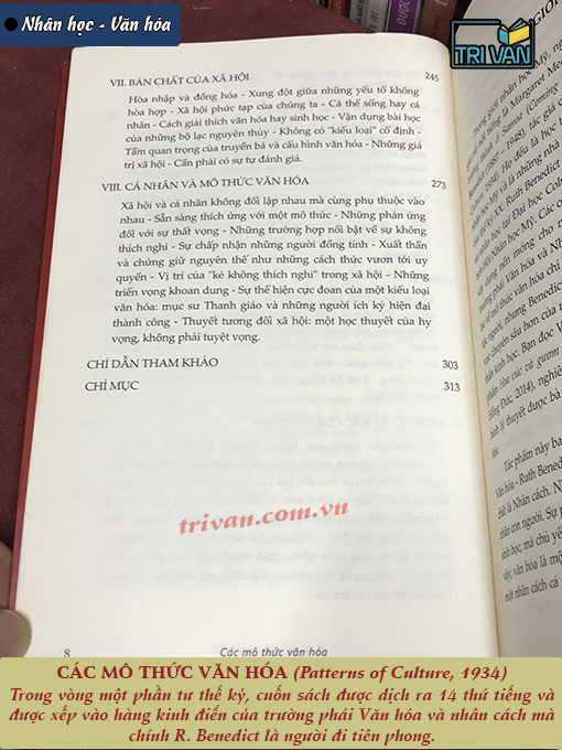 Combo sách CÁC MÔ THỨC VĂN HÓA & HOA CÚC VÀ GƯƠM - Ruth Benedict