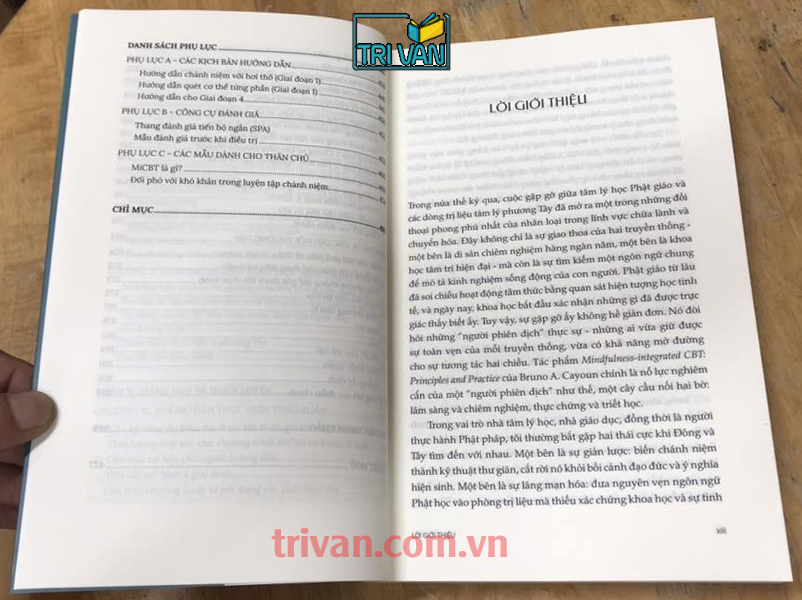 Combo sách Trị liệu Nhận thức Hành vi Tích hợp Chánh niệm: Nguyên tắc và Thực hành + Sách bài tập MiCBT - Bruno A. Cayoun - Andrea D. Grabovac