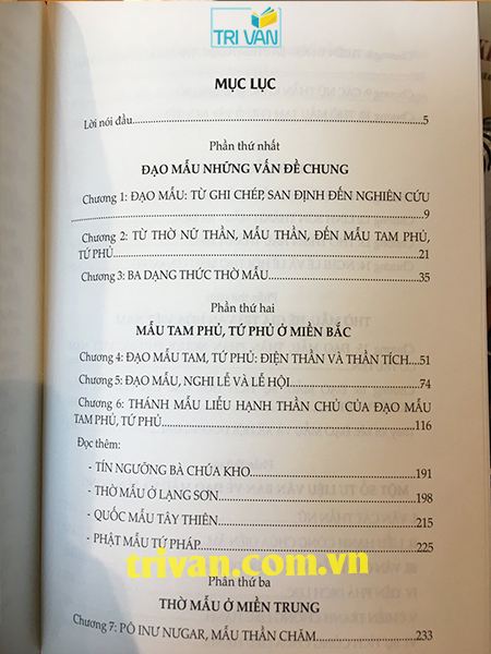 Đạo Mẫu Việt Nam - GS. TS. Ngô Đức Thịnh