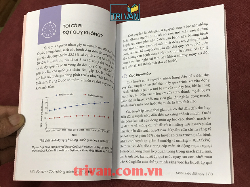 Đột Quỵ - Cách Phòng Tránh Và Phục Hồi - Tạ Thanh - Cố Lâm