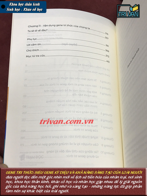Gene Tri Thức: Siêu Gene Kỳ Diệu Và Khả Năng Sáng Tạo Của Loài Người - Lynne Kelly