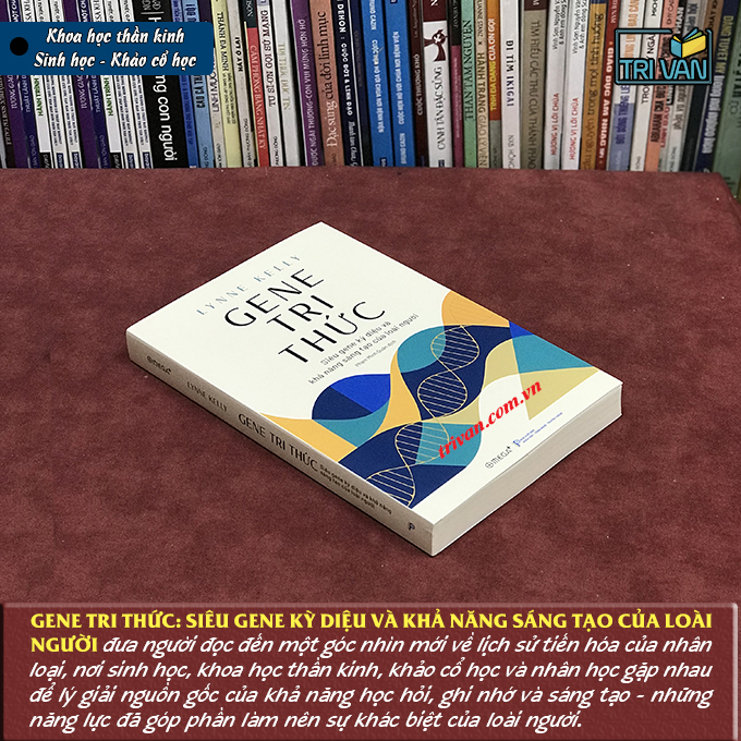 Gene Tri Thức: Siêu Gene Kỳ Diệu Và Khả Năng Sáng Tạo Của Loài Người - Lynne Kelly