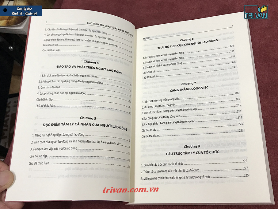 Giáo trình Tâm lý học công nghiệp và tổ chức - Lê Thị Minh Loan