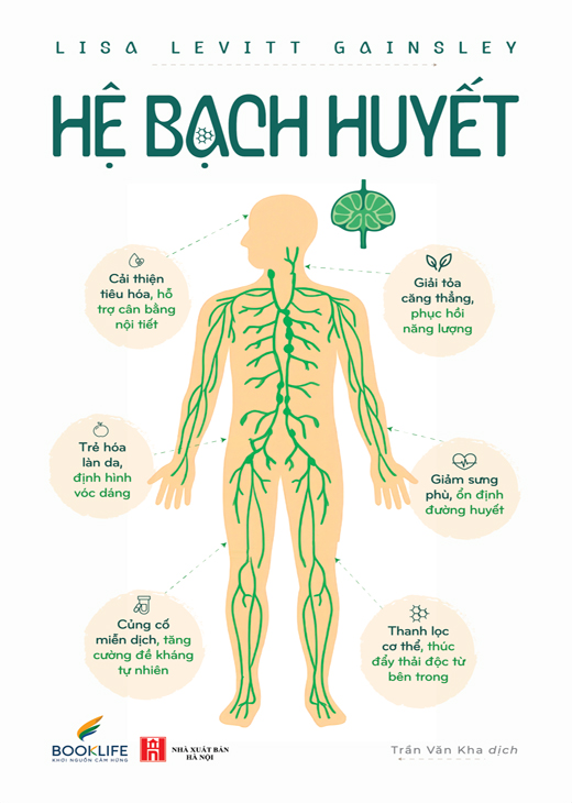 Hệ Bạch Huyết