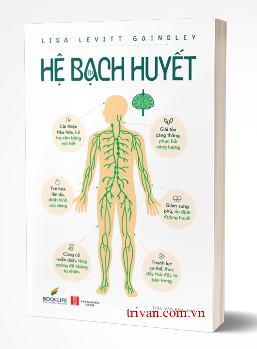 Hệ Bạch Huyết
