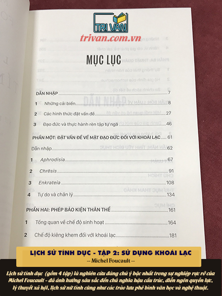Lịch sử tính dục II: Sử dụng khoái lạc - Michel Foucault