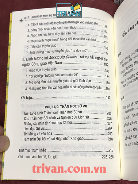Linh hoạt Môn Đệ Truyền Giáo - Missio Dei và tiếng gọi sứ vụ cho người Công Giáo Việt Nam hôm nay - Lm. Giuse Đỗ Nguyên Vũ, SVD