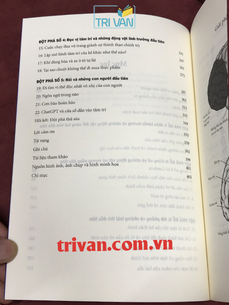 Lược Sử Trí Khôn - Từ Giun Biển Đến ChatGPT - Max Bennett