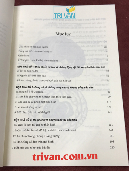 Lược Sử Trí Khôn - Từ Giun Biển Đến ChatGPT - Max Bennett