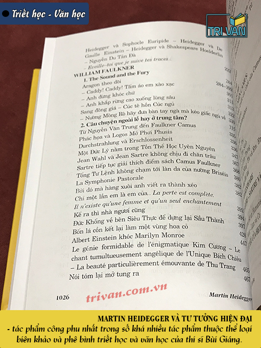 Martin Heidegger và Tư tưởng hiện đại - Bùi Giáng (Tái bản 2019)