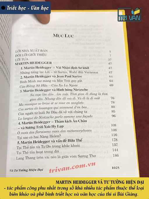 Martin Heidegger và Tư tưởng hiện đại - Bùi Giáng (Tái bản 2019)