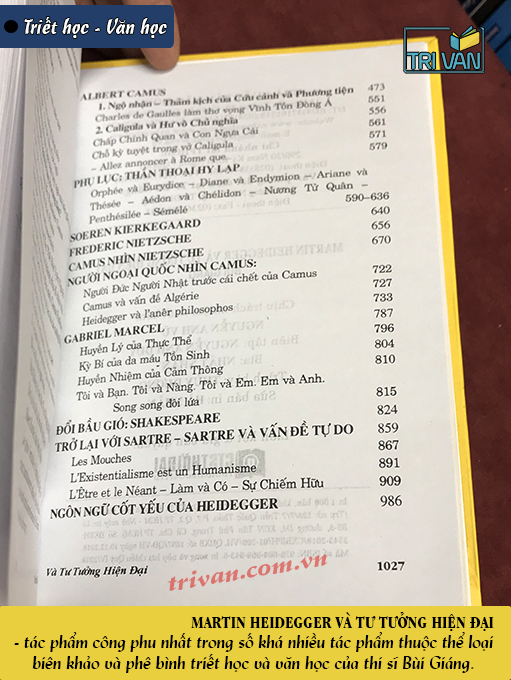 Martin Heidegger và Tư tưởng hiện đại - Bùi Giáng (Tái bản 2019)