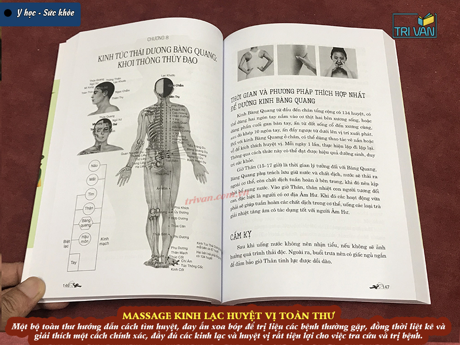Massage Kinh Lạc Huyệt Vị Toàn Thư - Tra Vĩ (Tái bản 2026)