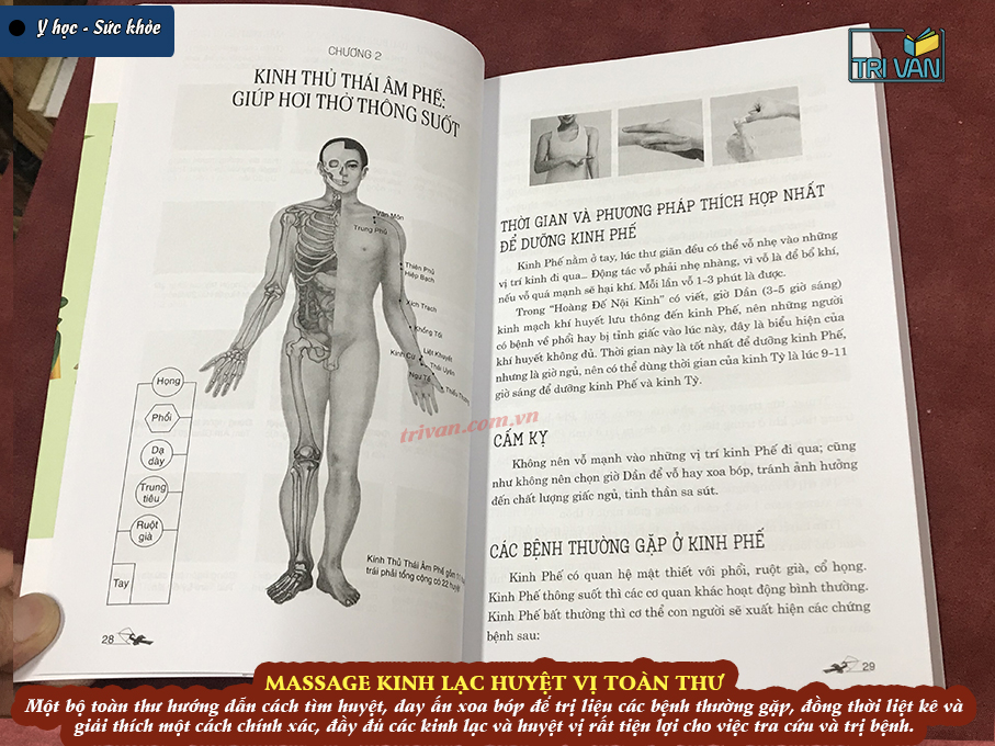 Massage Kinh Lạc Huyệt Vị Toàn Thư - Tra Vĩ (Tái bản 2026)