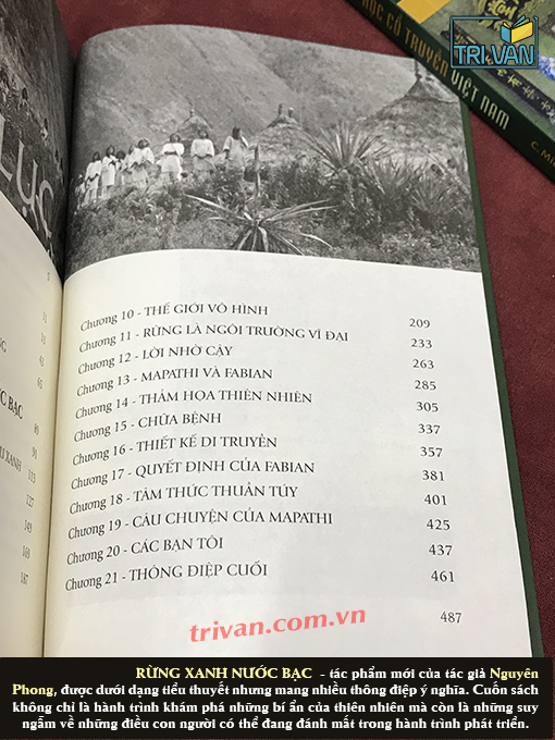 Rừng xanh nước bạc - Nguyên Phong