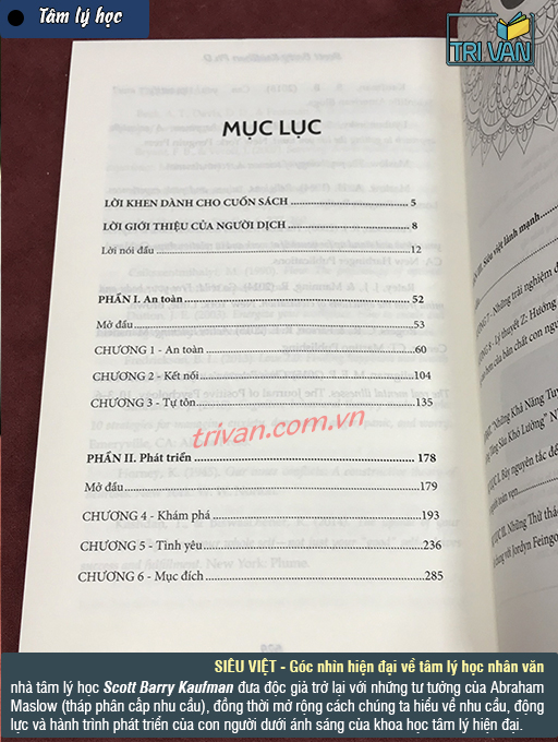 Siêu việt - Góc nhìn hiện đại về tâm lý học nhân văn - Scott Barry Kaufman