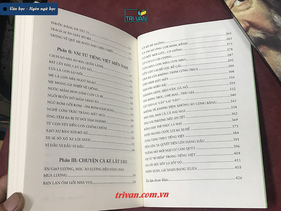 Tiếng Việt - Từ lời ăn tiếng nói người Việt - Lê Minh Quốc