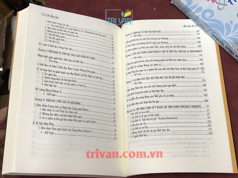 Tính dục, tình yêu và hôn nhân - Dưới nhãn quan thần học luân lí công giáo - Lm. Phêrô Trần Mạnh Hùng, STD (Tái bản có cập nhật bổ sung)