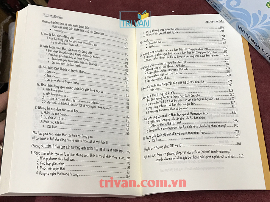 Tính dục, tình yêu và hôn nhân - Dưới nhãn quan thần học luân lí công giáo - Lm. Phêrô Trần Mạnh Hùng, STD (Tái bản có cập nhật bổ sung)