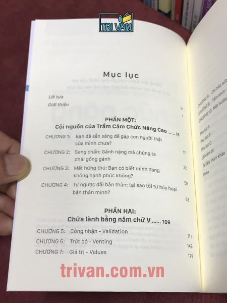 Trầm cảm chức năng cao - Vượt qua trầm cảm ẩn và tìm lại niềm vui - BS. Judith Joseph