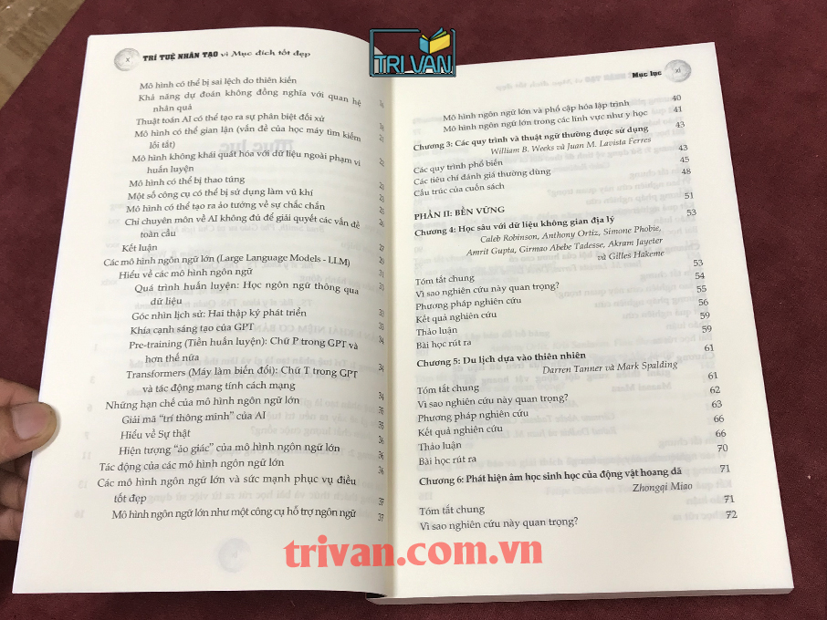 Trí tuệ nhân tạo vì mục đích tốt đẹp: Ứng dụng trong phát triển bền vững, hoạt động nhân đạo và y tế - Juan M. Lavista Ferres - William B. Weeks