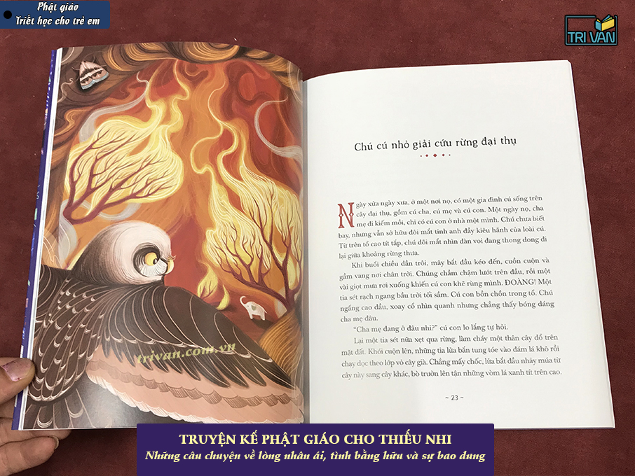 Truyện kể Phật giáo cho thiếu nhi