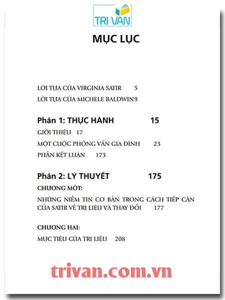 Từng bước đổi thay cuộc đời - Liệu pháp gia đình theo cách tiếp cận của Virginia Satir