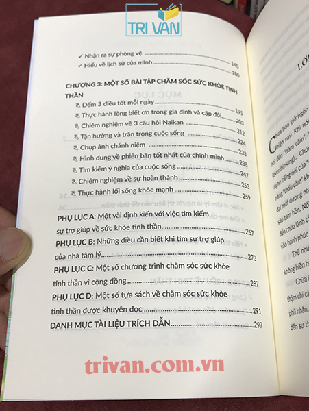 Vì tâm hồn biết lành lại - Những lầm tưởng phổ biến và sự thật về chăm sóc sức khỏe tinh thần - Đặng Hoàng Ngân